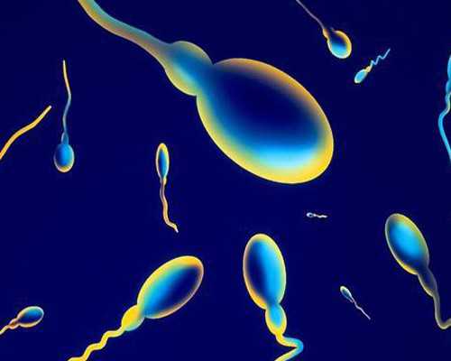 武汉助孕网咨询电话多少，武汉协和试管多少钱啊？贵不贵？