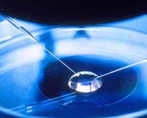 2026余姚试管婴儿医院大全，宁波供卵机构助孕策略参考