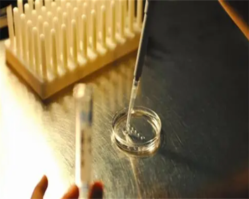 胚胎解冻复苏，把未来安排好