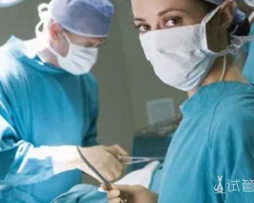 无锡供应出售金蝉卵枝,亳州供应出售金蝉卵枝技