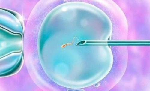 无锡有没有代怀，无锡生殖机构做供卵试管费用多少？