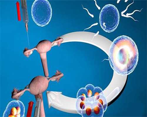 晚餐吃燕麦可以减肥吗?