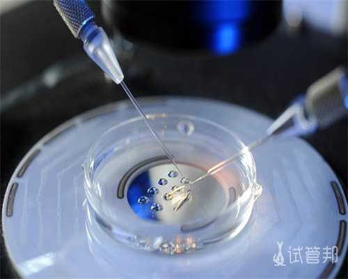 贵港有没有卵子库仅一家医院具备供卵资质