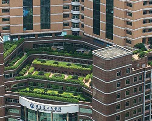 广州供卵试管机构哪家最专业，卵巢囊肿供卵成功率高吗