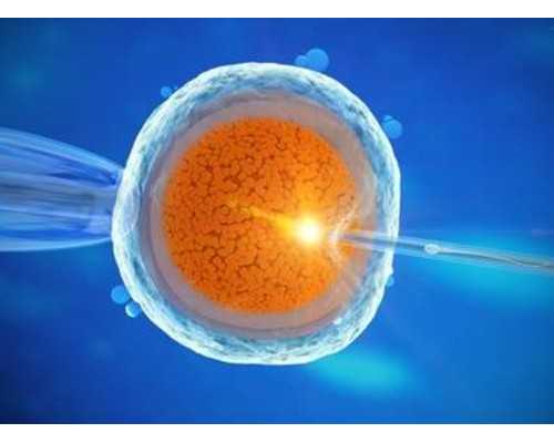 贵阳借卵试管婴儿，哪个正规医院能做供卵试管婴儿