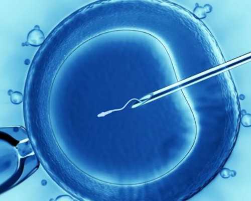 连云港三代试管选性别准确率_连云港哪里可以做试管