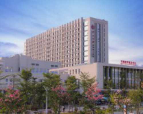 2026最新四川助孕价格表