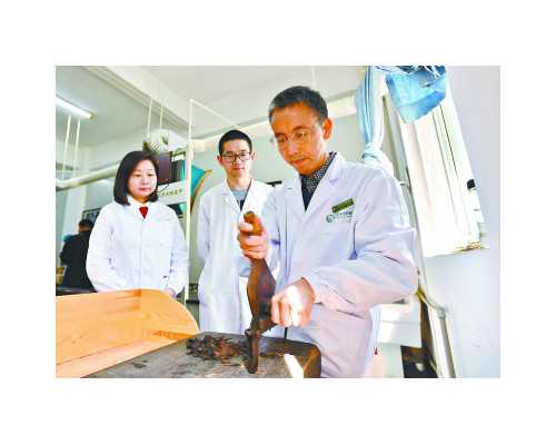 无锡试管包生男孩，无锡三代试管男女准确率无锡试管婴儿医院排名最好