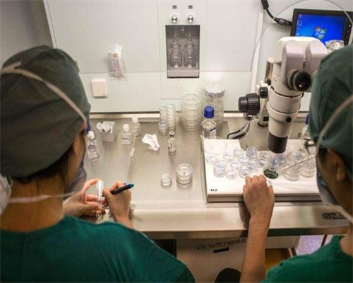 乙肝患者可以喝驼奶粉吗,吃孕酮片可以打乙肝疫苗吗,