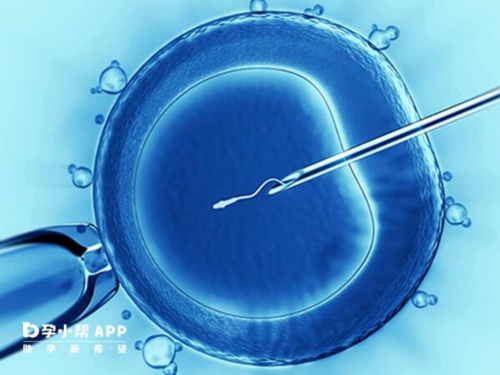 周双胞胎出生，是否可以视相对安全的双胞胎？