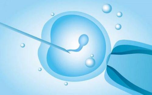 想生个猪宝宝？这4个小妙招帮你受孕成功！