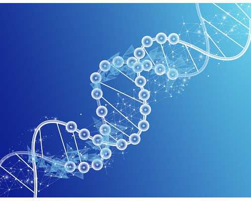 杭州试管代生费用流程，杭州代怀借种生子