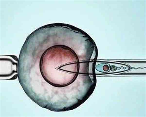 南宁高端代孕服务,南宁试管婴儿医院排名？附南宁第三代试管医院选择！