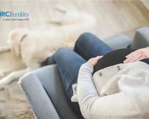 石家庄供卵机构哪里找，2019年石家庄新生儿医保报销流程