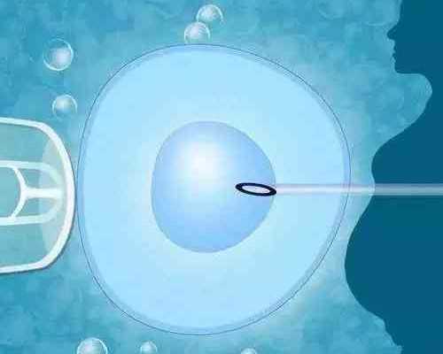 大连三代供卵试管婴儿医院排名？附大连试管成功率明细？