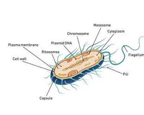 2014无锡妇幼待产包有哪些