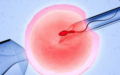 2026合肥私立供卵机构排名榜单更新，附供卵生男孩费用清单参考