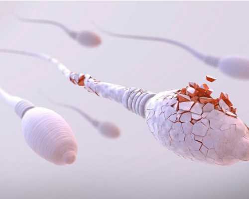 多囊1秒辨别，别再傻傻搞不清了！