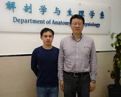 苏州代生收费多少，苏州做试管婴儿费用人工授精和试管婴儿各是多少钱