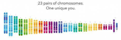 供卵试管对卵巢的要求，试管婴儿移植注意事项