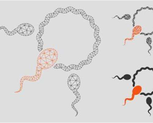 昆明供卵想生男孩,昆明供卵试管包男孩