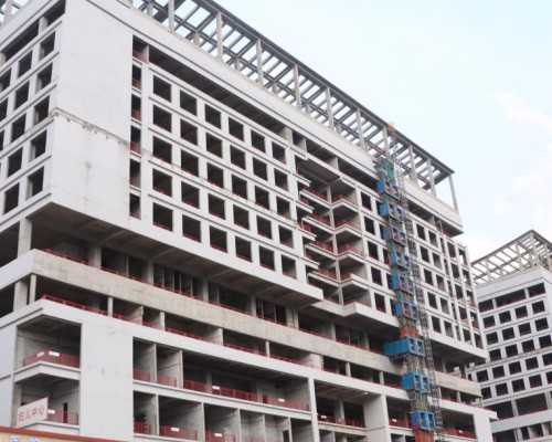 “跨境试管婴儿” 宝宝性别可提前“预订”？