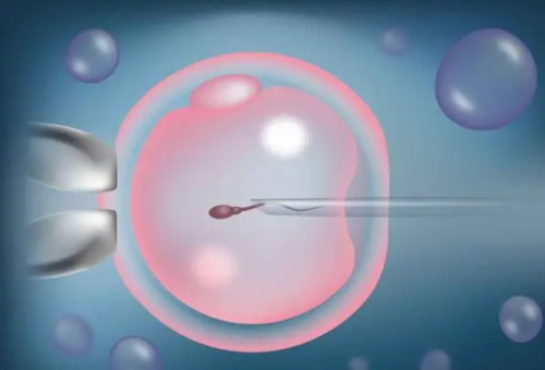 成都供卵试管医院排名怎么样？附详细成功率费用信息