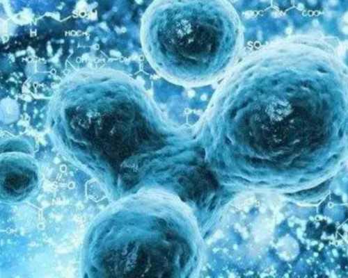 无锡代生去哪，无锡试管婴儿过程中注意事项有哪些？