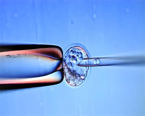 无锡供卵代要多久,无锡供卵试管婴儿医院排名？附试管助孕机构名单！