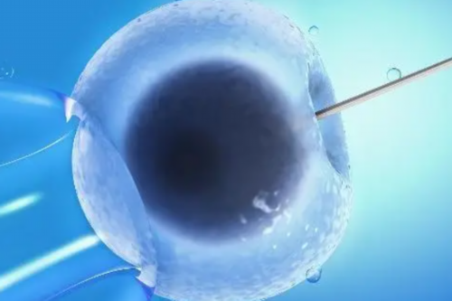 上海私立机构供卵试管在哪里做,做试管婴儿最好的私立医院是哪家