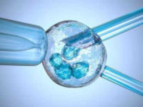 北京供卵试管费用要多少，无卵泡可以供卵吗