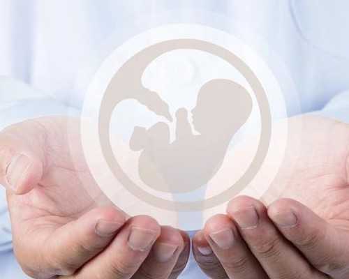 私人代妈海南世纪,揭开代妈公司神秘面纱，一亲身经历者道出了代妈应聘的全