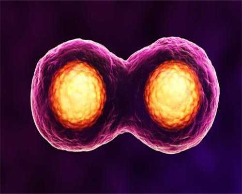 供卵长沙代孕成功率,湖南长沙正规试管代孕儿童医院排名，有成功率和费用明