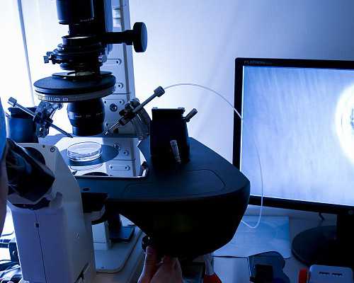 供卵5次不成功,45岁供卵5次都不成功