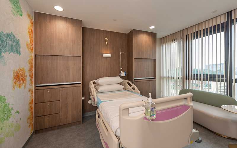 无锡供应出售金蝉卵枝,亳州供应出售金蝉卵枝技