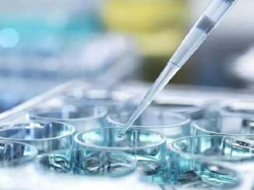 无锡专业代怀地址，无锡唐氏家族浅溯