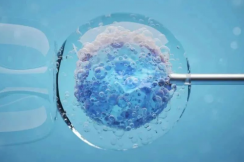 石家庄供卵代怀