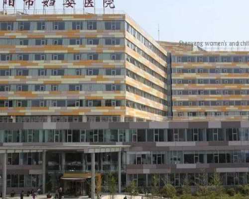 上海能做供卵试管的机构有哪些