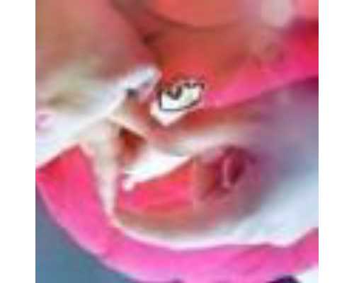 无锡代怀孕方案，无锡三代试管助孕生孩子费用是多少呢