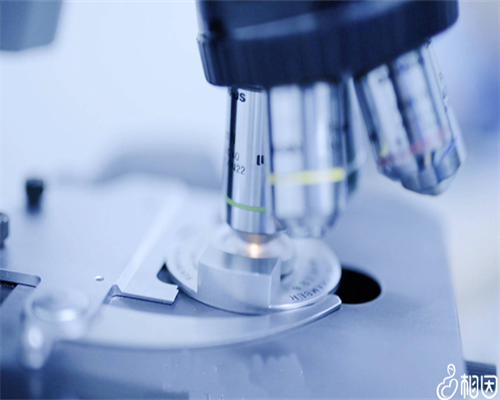 「大夫说」自己的孕周怎么计算？末次月经可以推算预产期吗