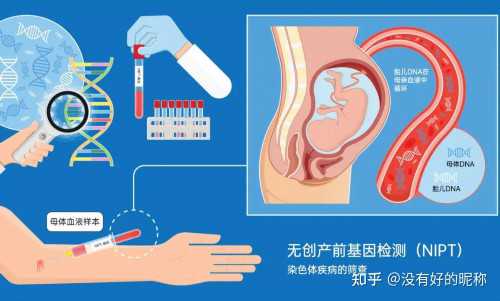 河北专业捐卵中介,石家庄哪里可以买精子做人工授精？河北哪些医院有精子库