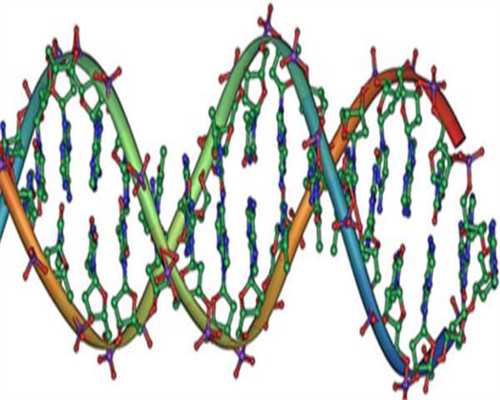 如果要找供卵去哪里,【如果供卵去哪里 哪里做供卵好】发现怀孕了也是一个偶