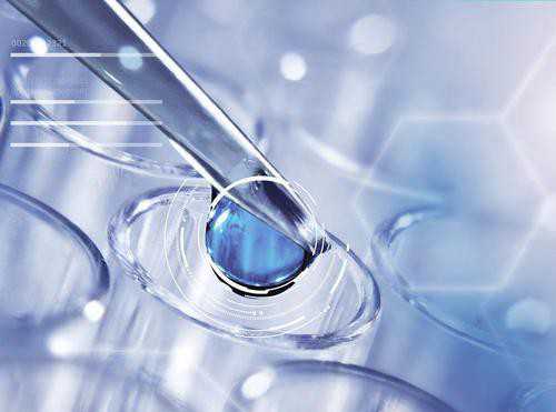 从正常卵子和异常卵子的区别，细说试管婴儿成功率的关键作用