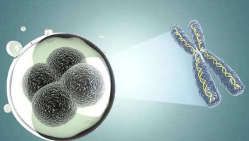 无锡代怀成功产子，无锡正规月子中心排名-告诉你无锡月子中心多少钱一个月