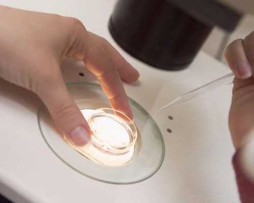 做无锡供卵试管合法吗,无锡有做试管男孩的吗？无锡试管婴儿做男孩是真的吗