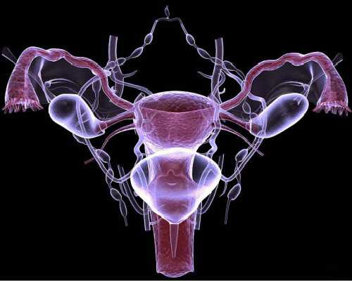 无锡哪里代生，无锡唐氏家族：代代相传，人才辈出，肩负民族大义，心系家国