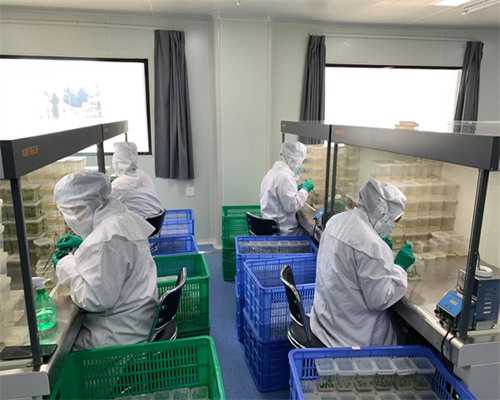 珠海代孕妇女多少钱,弱精珠海妇幼做试管婴儿要多少钱？