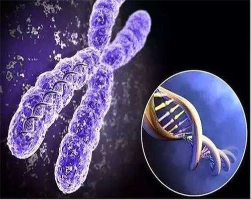 无锡咨询试管代生，无锡妇幼保健院能做供卵三代试管婴儿吗？