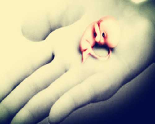 哈尔滨怎么才能捐卵，哈尔滨新生儿医保怎么续交保费