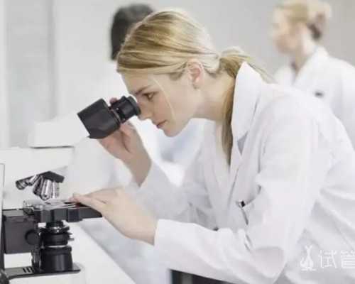 美国试管婴儿成功率与取卵数量有关系吗？